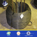 ISO9001: 2008 Certificado Steel Wire Rod com bom serviço